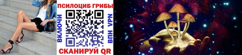 Псилоцибиновые грибы MAGIC MUSHROOMS  Купить закладки  Омутнинск 